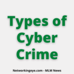 types of cyber crime