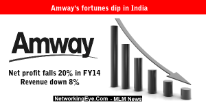 Amway's fortunes dip in India