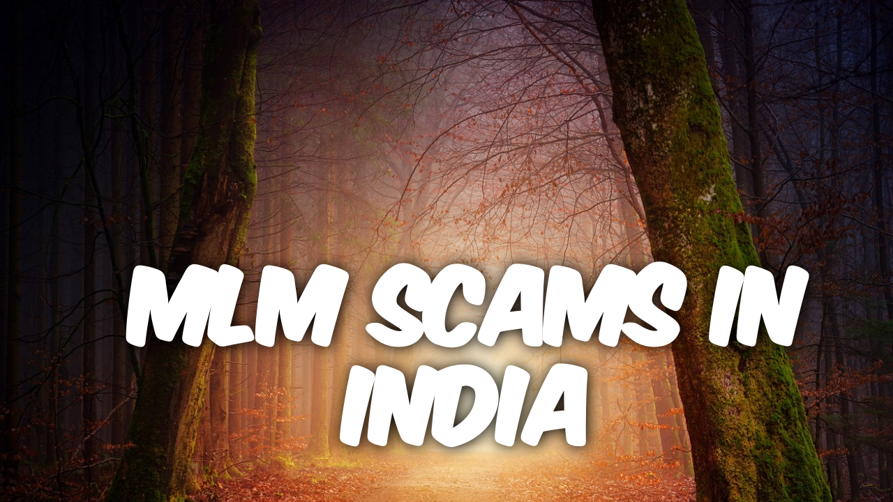 MLM Scams in India